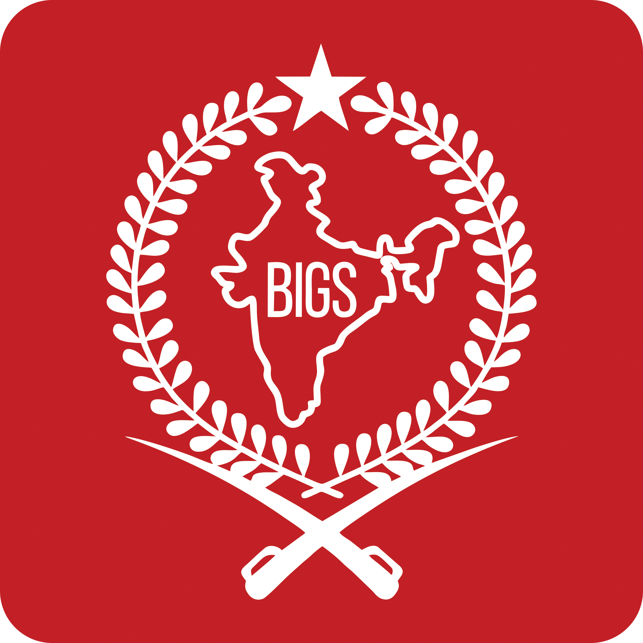 BIGS Logo